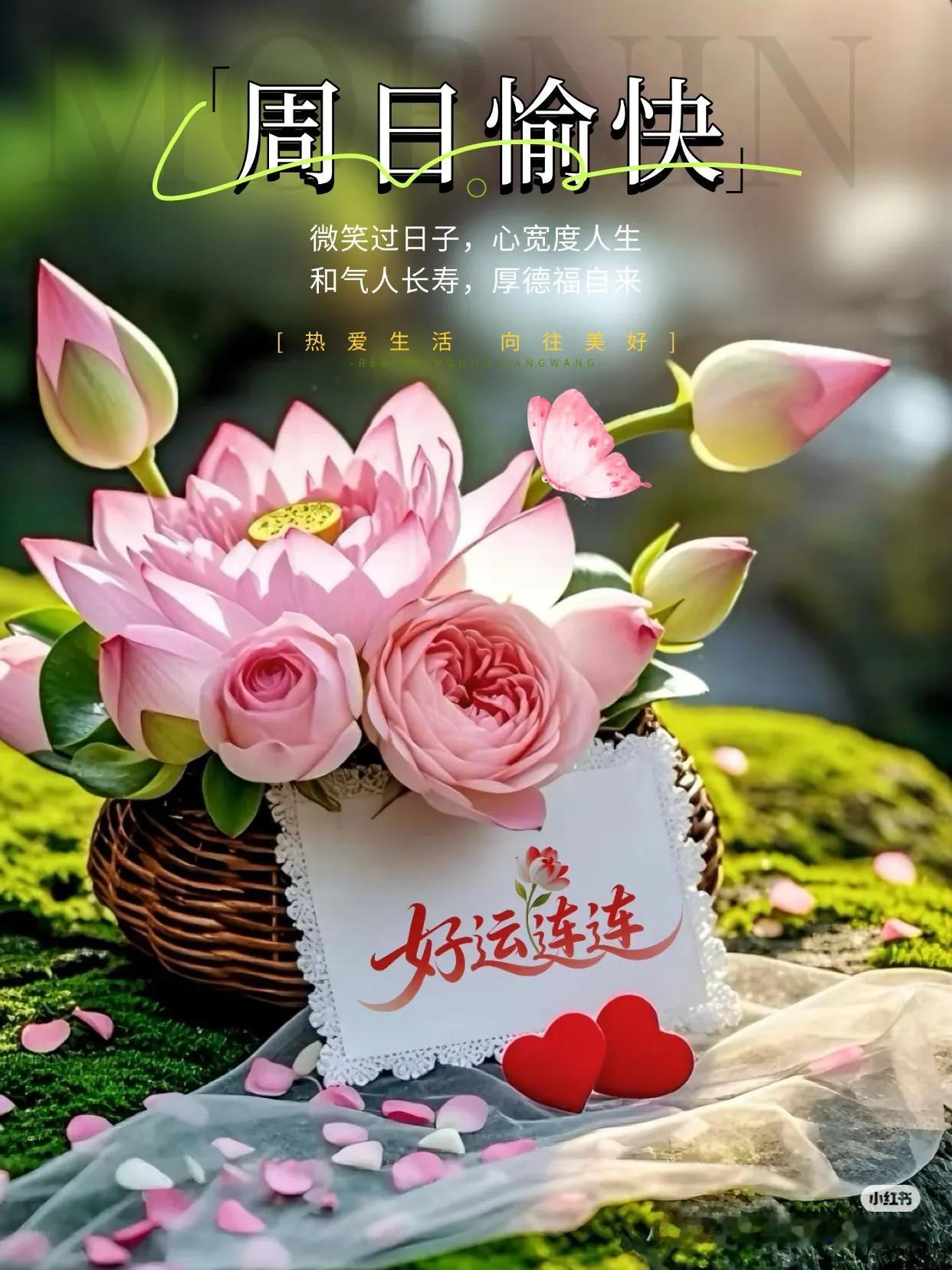 我生命里出现的每一个人，都不是随意出现在我身边的。有的人就像温暖的阳光，他们欣赏