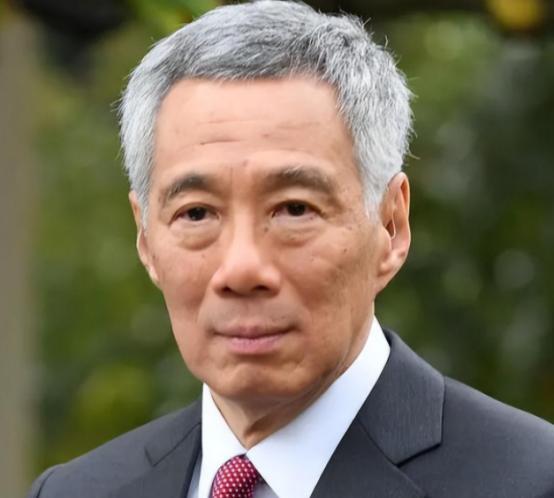 李显龙表示，真正的新加坡人要认清一个事实，新加坡不是华人国家，只是华人占多数而已