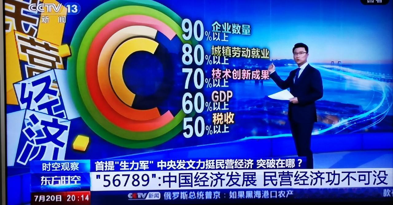 现在争论什么“公有制”、“私有制”已经毫无实际意义了。民营经济的“56789”