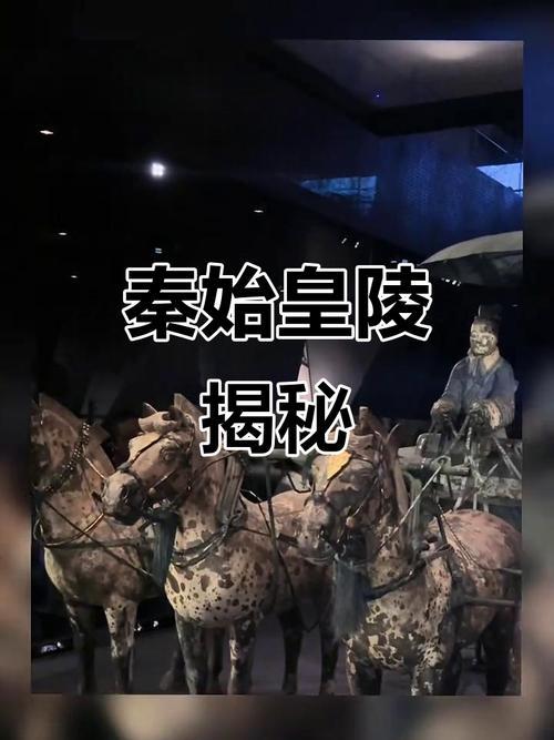 秦始皇帝陵再掀考古热潮！中英联合团队研究发现，陪葬坑木质构件多取自高海拔冷杉林，