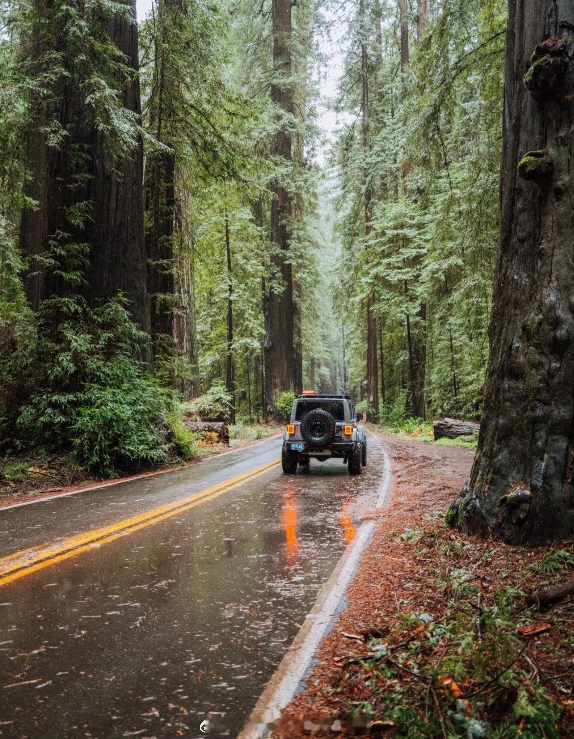 接纳不确定，方能拥抱确定交易的成功，不来源于你知道未来，而来源于你清晰知道自己应