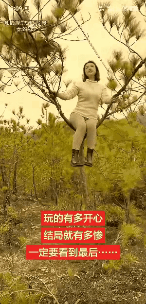 惊呆所有人：女子去公园玩，看到颗小松树长的漂亮就爬上树丫拍视频，她在树丫上摇啊、