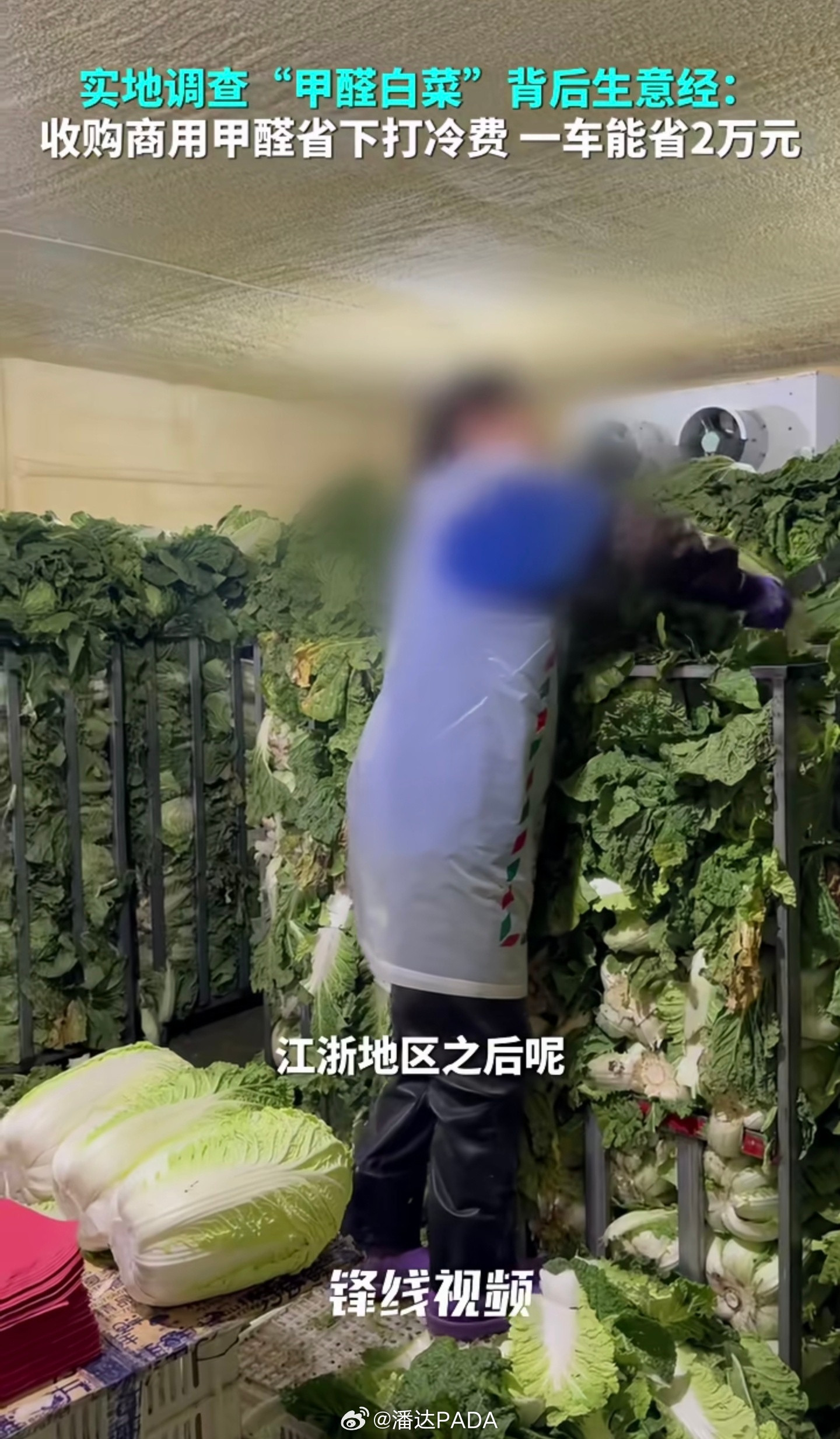 甲醛白菜的销售目的地……江浙地区？！浙江怎么这么倒霉，上次福建买的泡药杨梅。现在