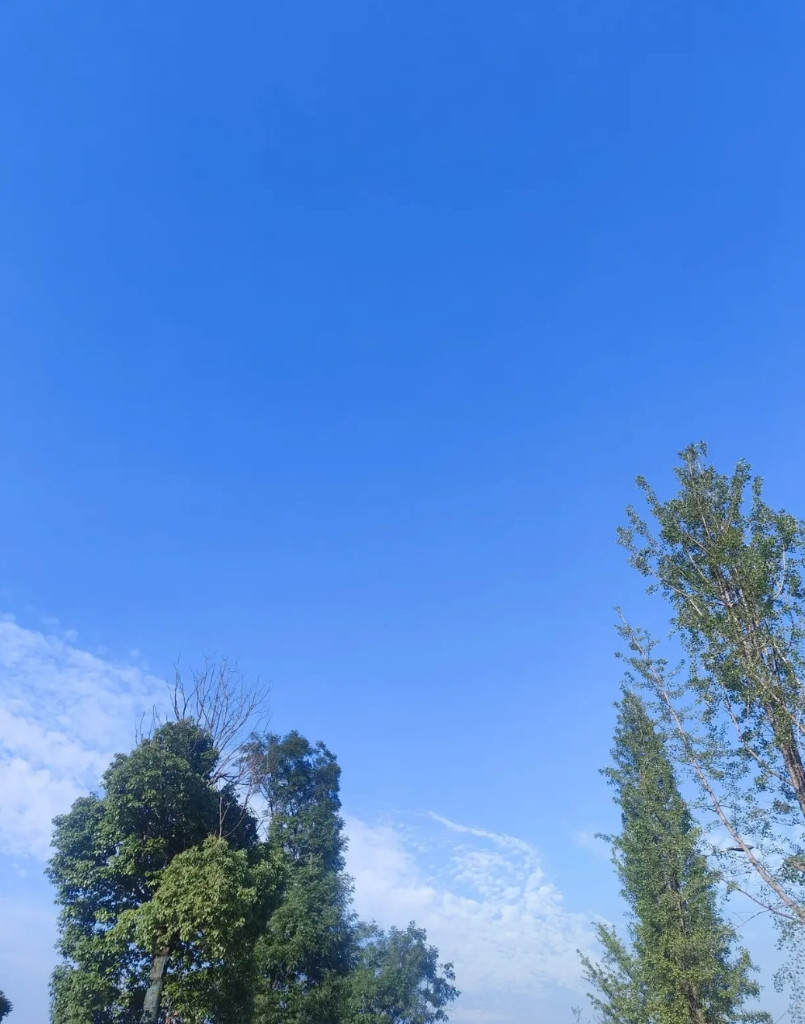 接待了一波外省的客户，不知道怎么聊闲天，聊到结婚彩礼这一块，他表示，他们当地彩礼
