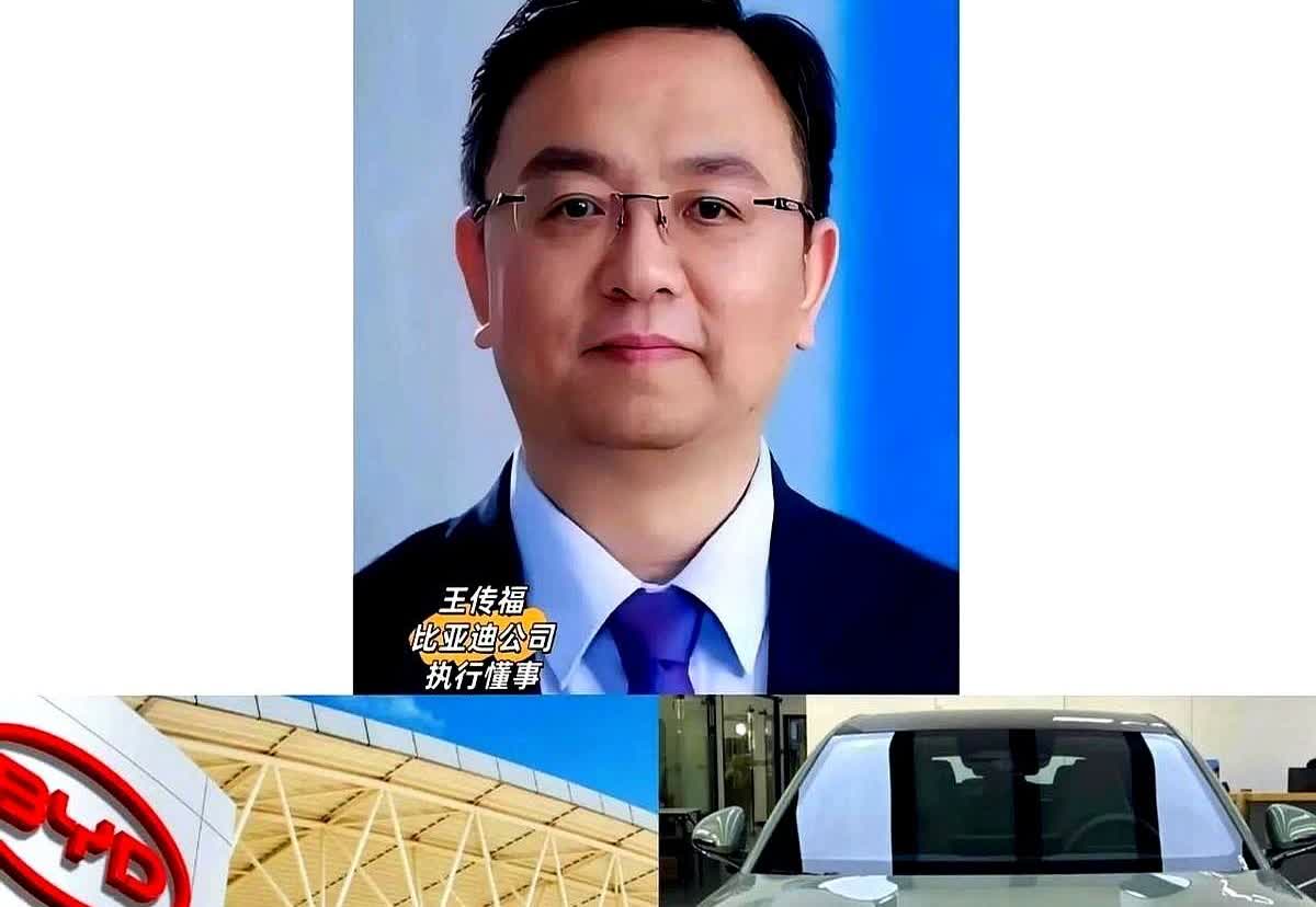 大家不用乱猜了，比亚迪拼命降价理由有两个！这刀片电池可不是吹的，我邻居上