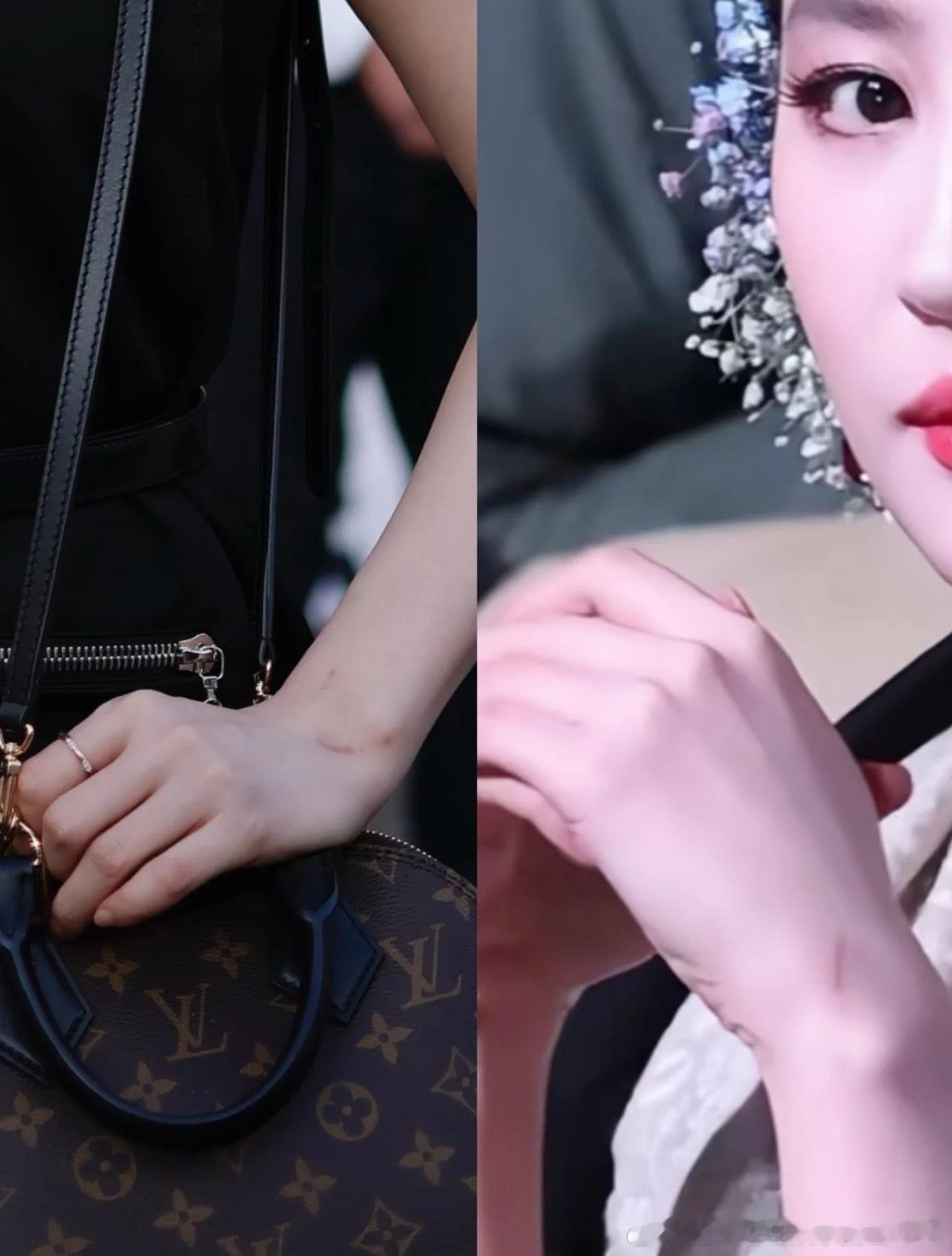 找到我和刘亦菲的共同点即便是刘亦菲也是要被猫抓的