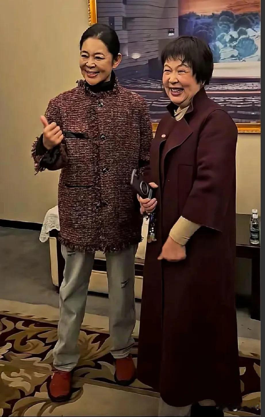 倪萍能认出来，想认出另外一个有点难[滑稽笑]