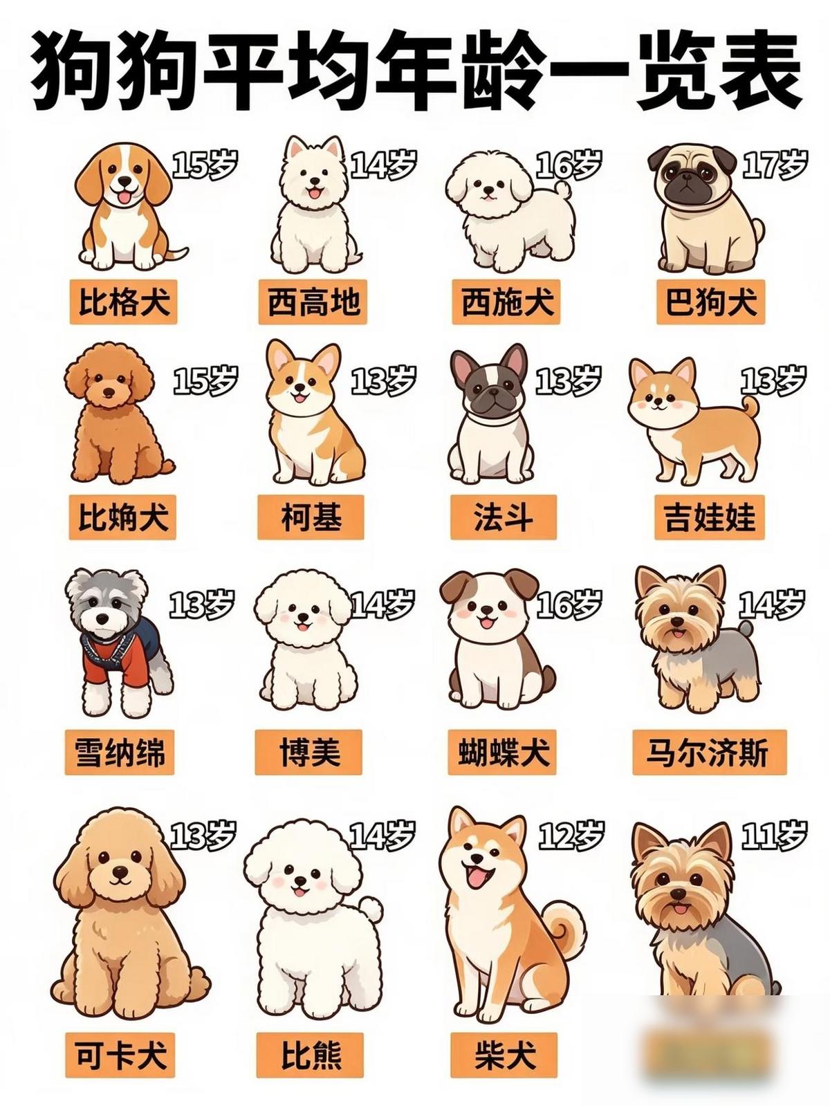 狗狗平均年龄一览表来了！比格犬15岁、西高地14岁、西施犬16岁，看着像一张表，