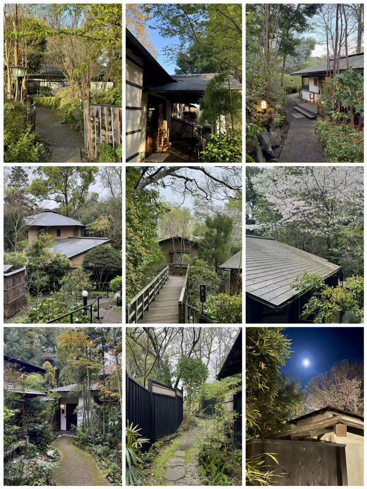 伊豆春夜，一场被温柔包裹的治愈之旅260404春日的伊豆，把所有的浪漫与松