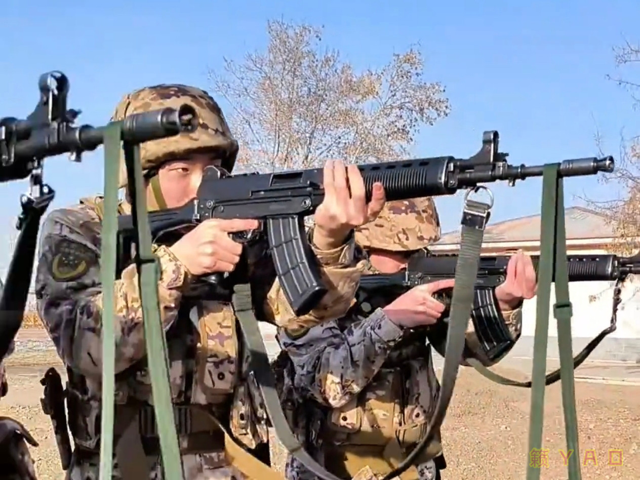 官方认证称谓：据枪壶[doge]​​​