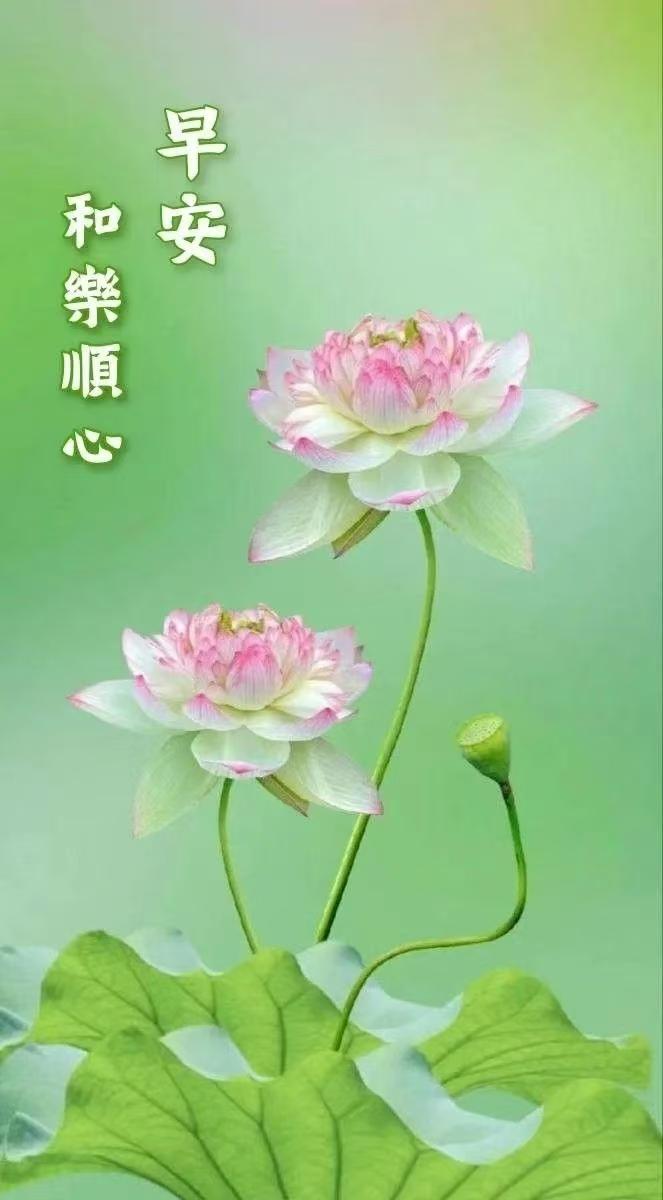 中秋佳節月亮圓，迎著秋風送吉祥，踏著秋露送花香，乘著涼爽送曙光，帶著快樂