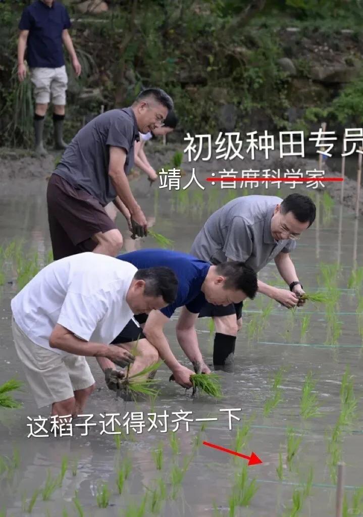互联网大厂团建年年有，但能把团建做成“组织架构说明书”的，阿里算一个。近日，阿