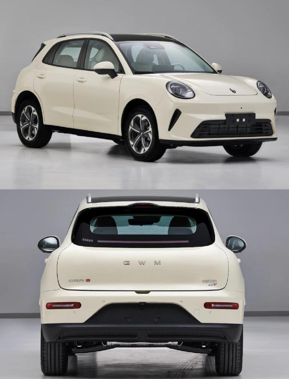 没想到欧拉5居然还有汽油版！在大家印象里，欧拉一直是搞纯电的呀。这次它推出汽油版