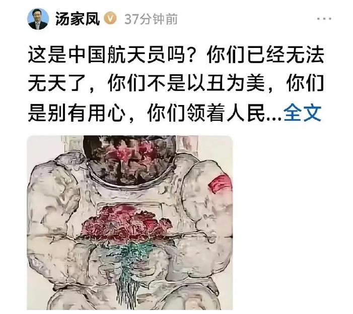 汤家凤再开炮：这是中国航天员吗？你们领着人民的俸禄，在丑化英雄人物！！昨天下