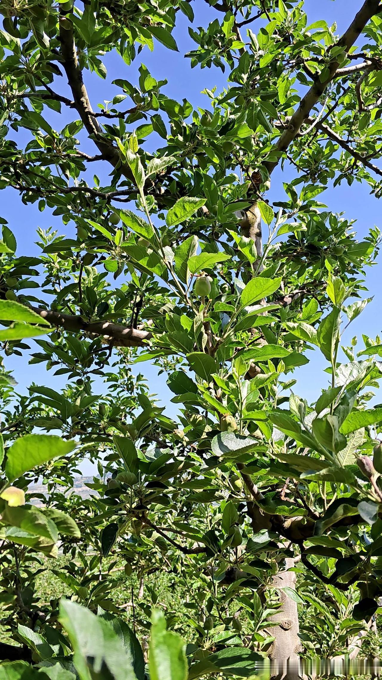 想要活的长寿，做到以下这几点，都能过百岁。少生气。7分饱控制腰围。囤肌肉