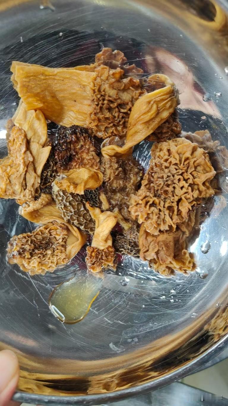 冬日生活打卡季来个羊肚菌蒸鸡蛋