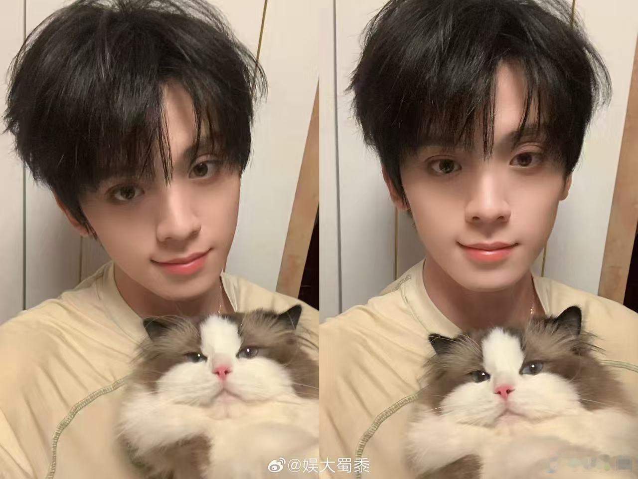 左航换头像愿意把头像换成猫咪的人，内心一定柔软又善良，左航对小动物真的好用心