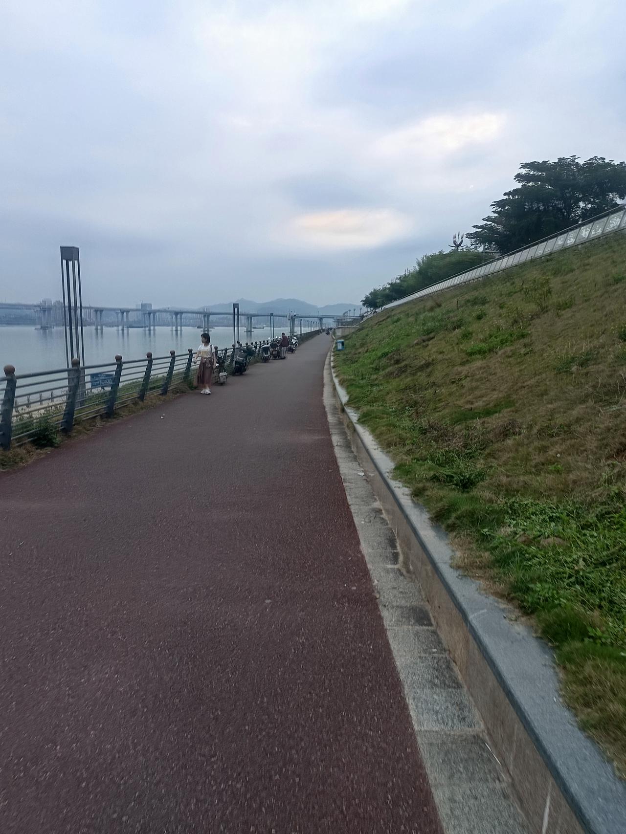 我终于知道为什么肇庆西江风景这么好却依然没什么人来你敢相信吗？这里就