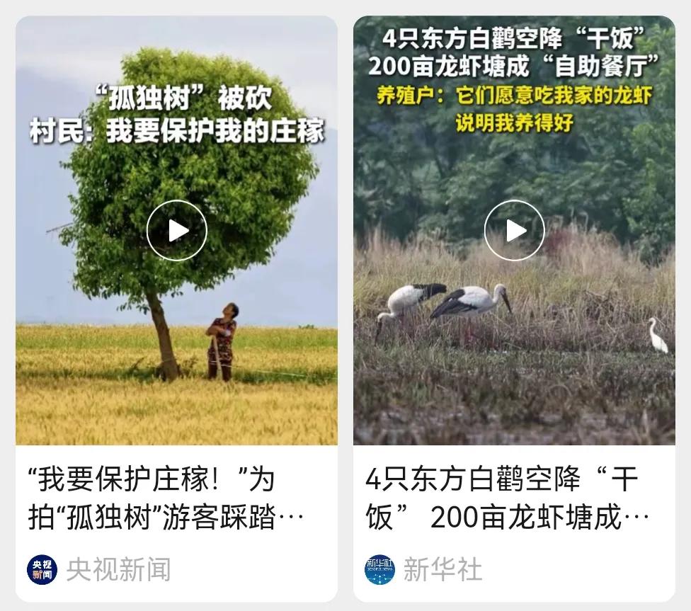 三个农民的案例：砍网红树的农妇、让东方白鹳吃蟹的养殖户、转行卖甲虫的果农前些