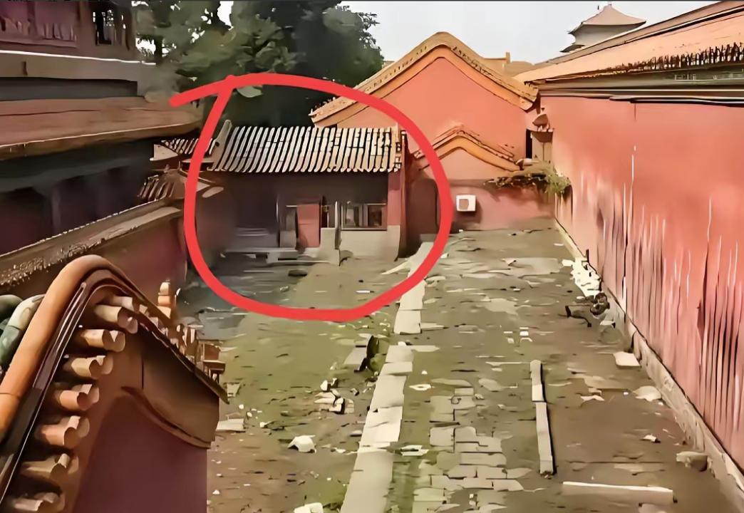 一直以为冷宫至少得是个院子，顶多就是偏了点。现在才知道，冷宫根本不是宫殿，连个像