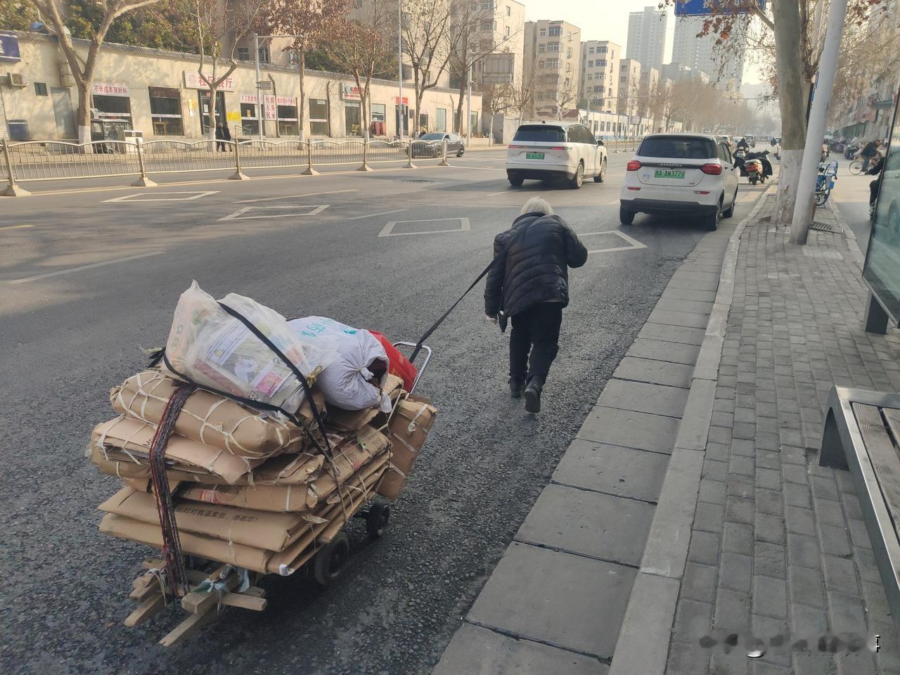 今天下午三点左右，在寒冷的郑州市街头路遇一位白发苍苍的老太太，正用一根绳子牵引着
