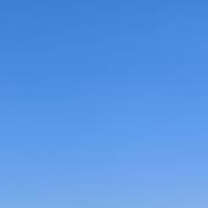 每日一善阳光信用生活其实很简单，想通了，每天都是晴天；幸福其实不遥远，珍惜了