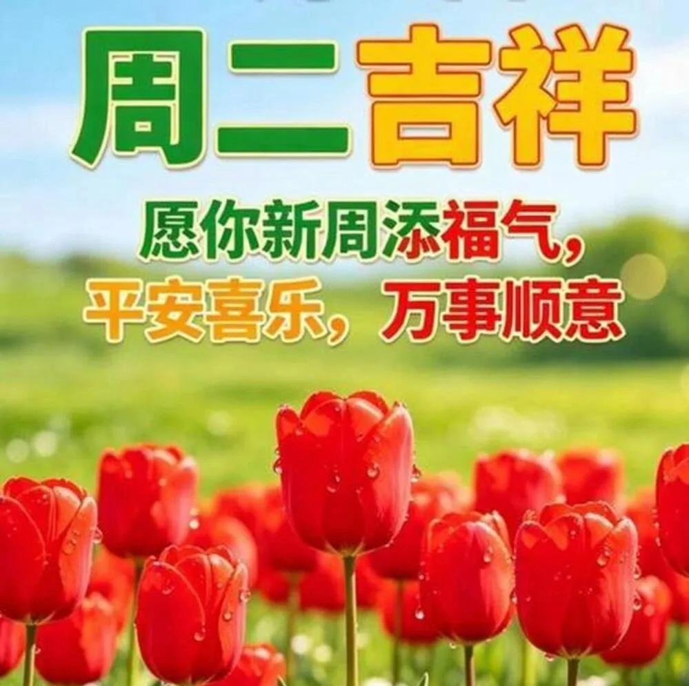 🌹🎉❤️每天笑迎秋朝阳，清风送暖乐吉祥，秋色满园新试样，硕果累累枝头上，新的