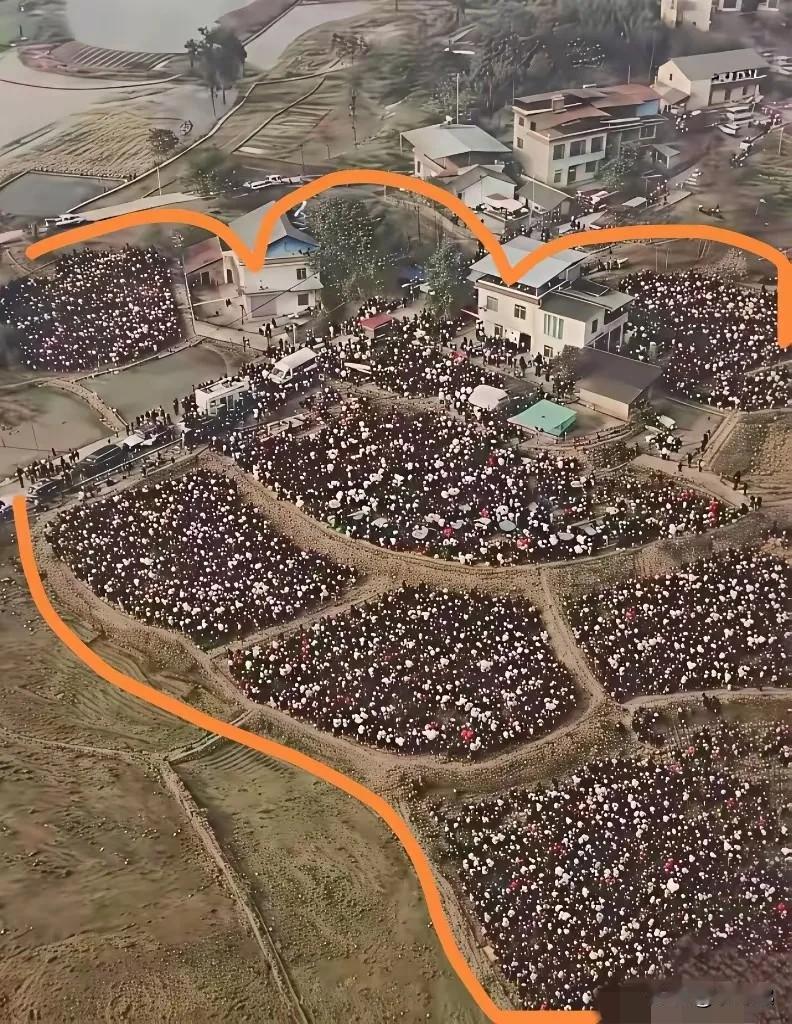 重庆合川呆呆家，是百年一遇的莲花地。百年开一莲，家门口周围是沼泽地。水力充沛