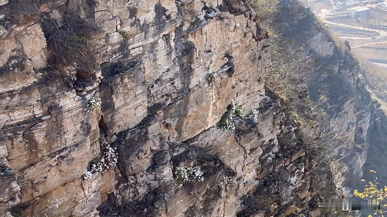 千万注意！进山徒步爬山，这个不要动，小心被拘！最近越来越多的人开始喜欢到山里徒