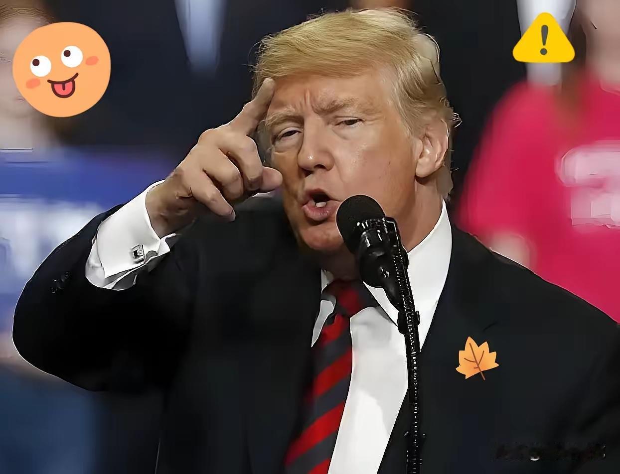 果然被我猜中了美国终于正式宣布了11月11日，美国政府直接摊牌，宣布美国不再