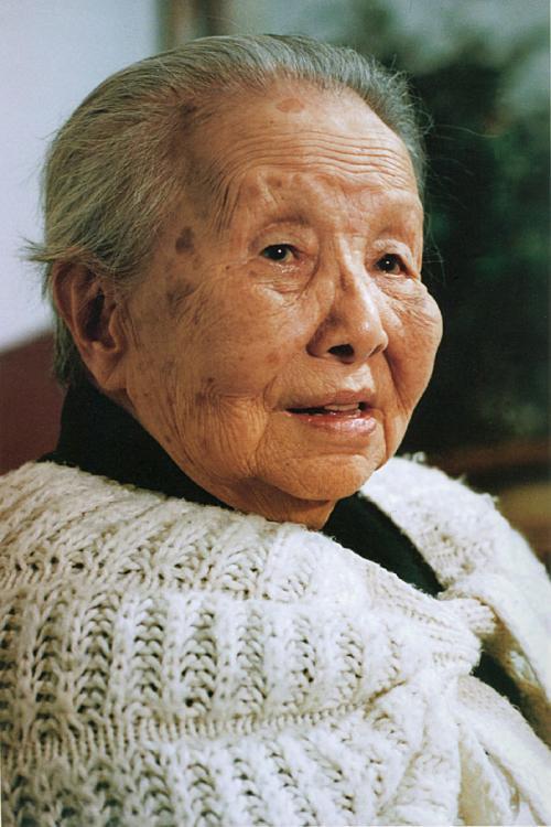 1997年，冰心长子趁妻子出国，把20岁的小女友带回家过夜。后来，为了分割房