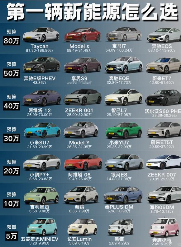 第一辆新能源怎么选？按预算抄作业就对了🚗家人们救命！第一次选新能源汽车，真的