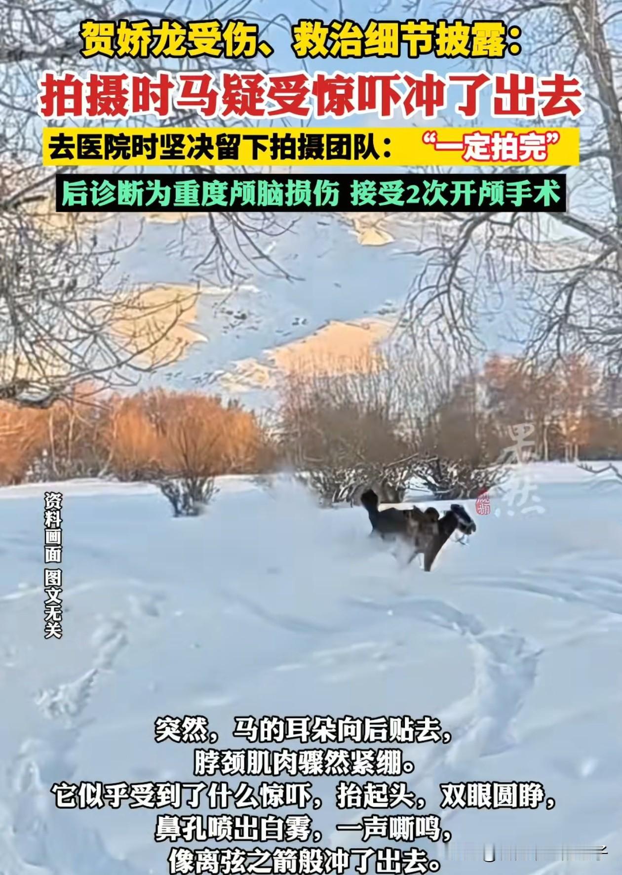 贺娇龙坠马细节曝光！真的太可惜了。她摔下来后，马匹并没有踢到她，身上也没有