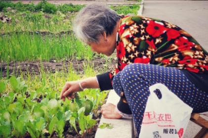 河南，老太太分得1000万拆迁款后，打电话试探2个儿子，要和他们同住。老大听说后