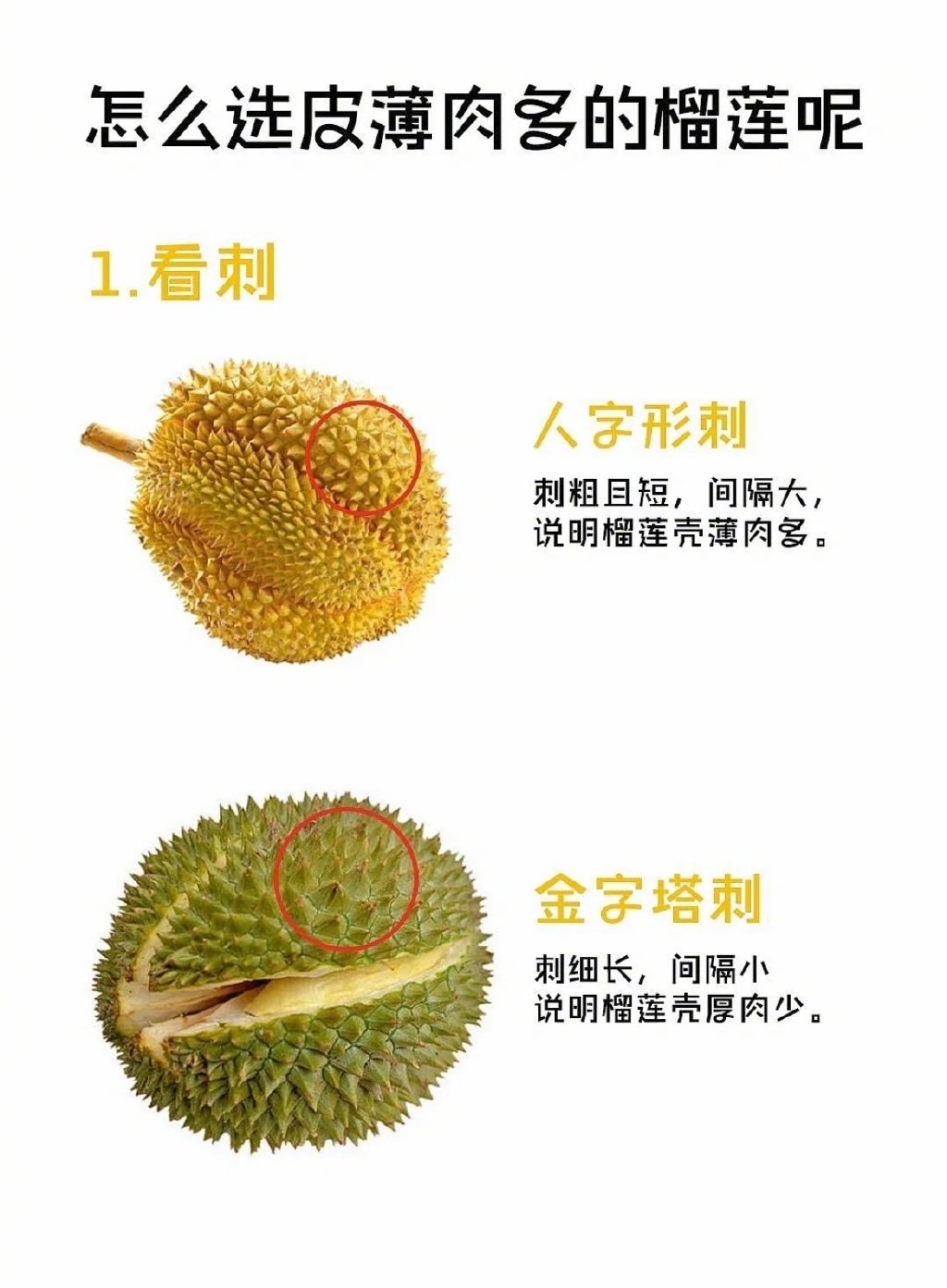又到了吃榴莲的季节，还有人不懂得怎么挑榴莲吗！？​​​