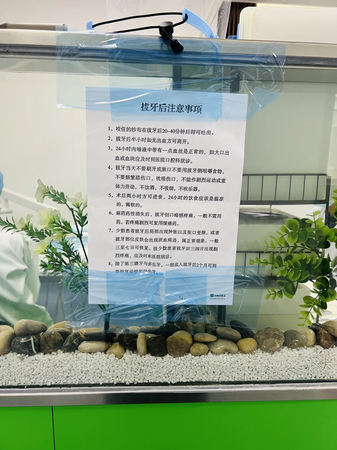 拔牙帖｜恢复期持续记录ing🧑🏻‍⚕️