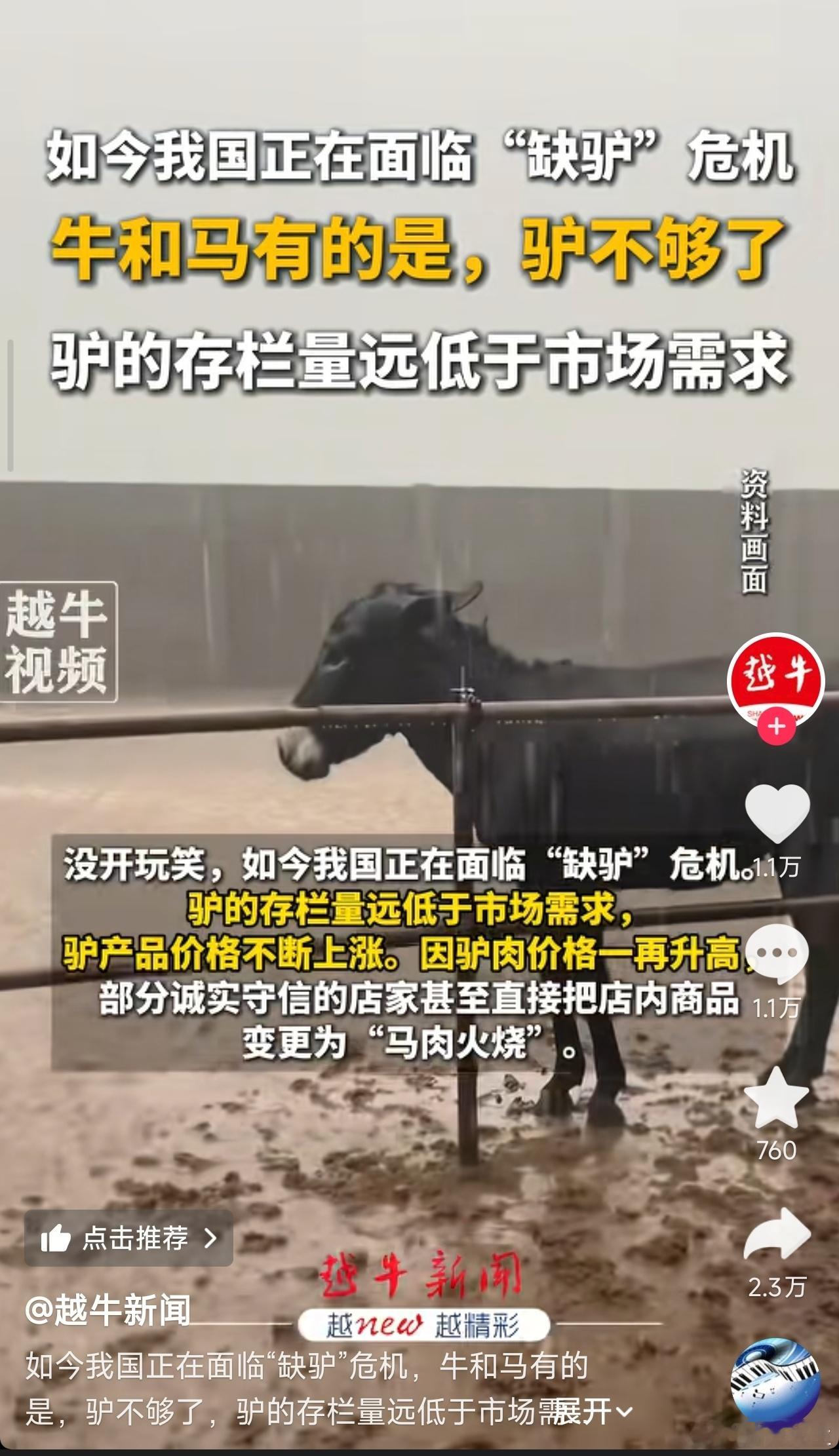 河北的兄弟们，你们的驴肉火烧还够吃吗？​​​