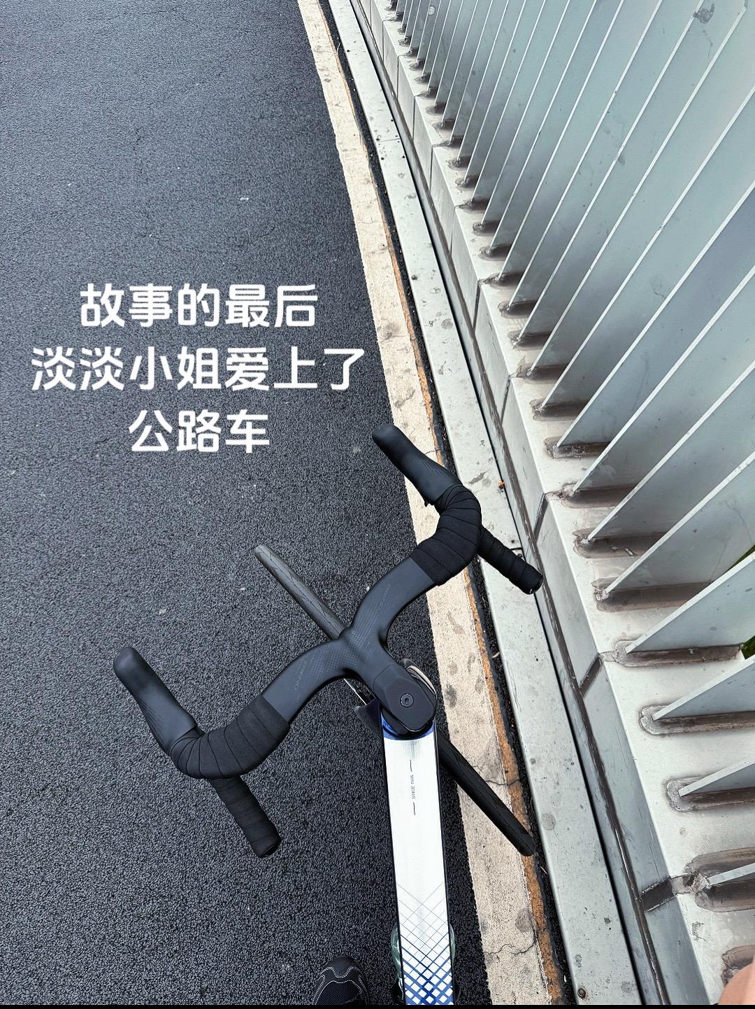 故事的最后 淡淡小姐爱上了公路车