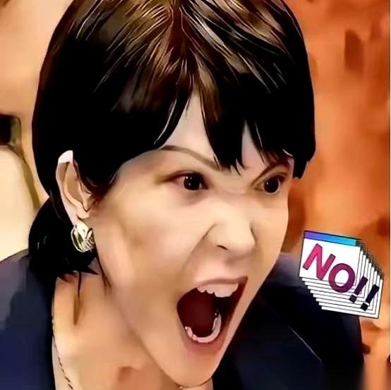 日本那位说话很冲的女大臣高市早苗，前脚刚踏上越南的土地，后脚就对我们喊话，说要和