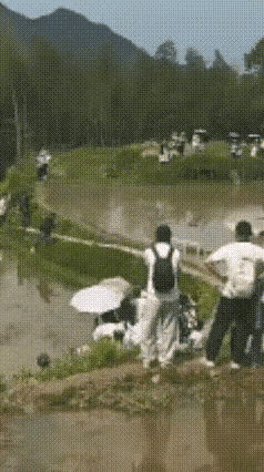 不懂就问，这个农田没用了吗？