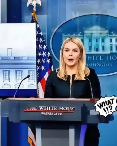 中国这次没有掉进美国的陷阱，中国不再是那个任人宰割的国家了。 美国现在害怕什