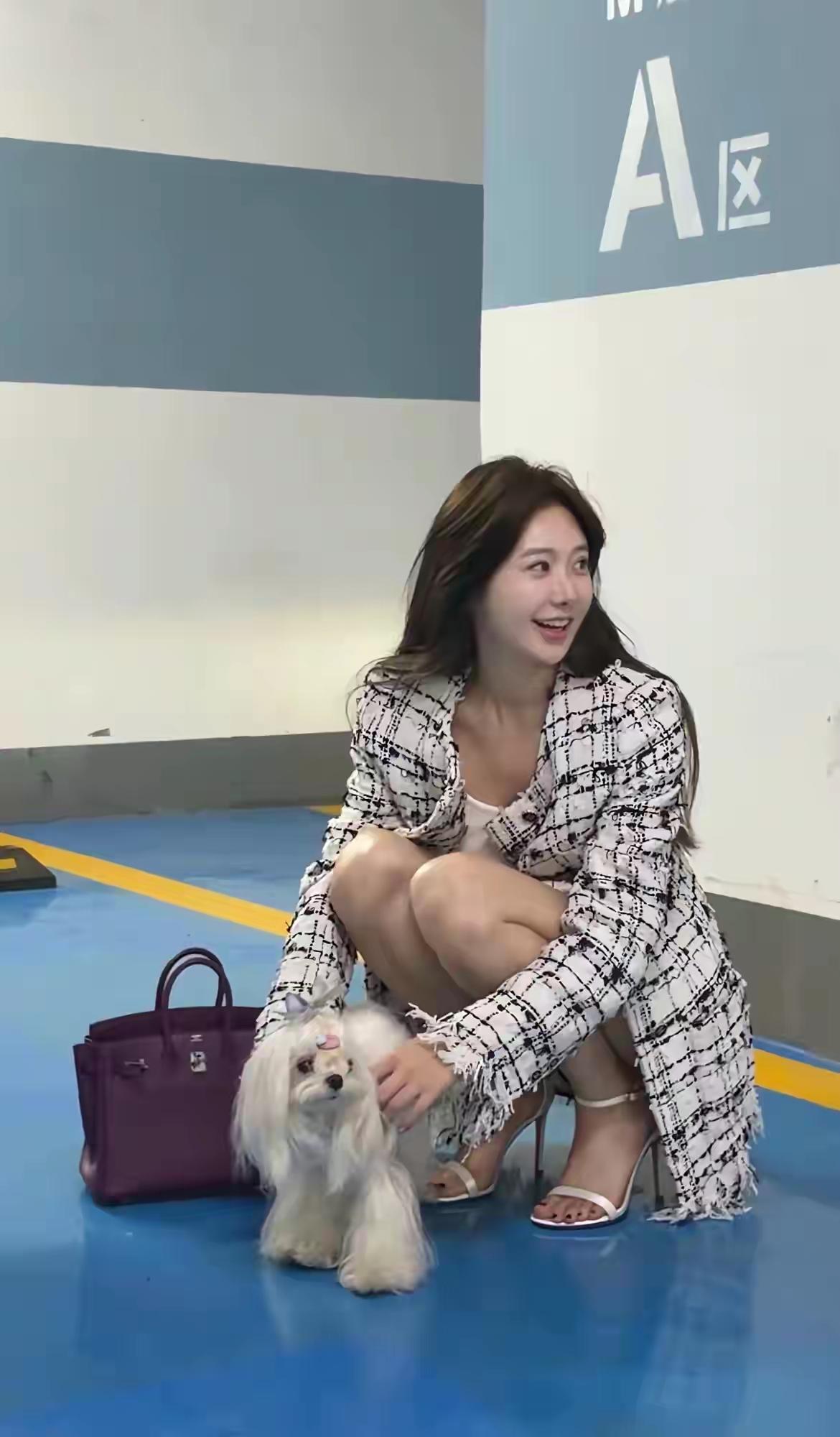 只顾看美女了，没看见那条狗