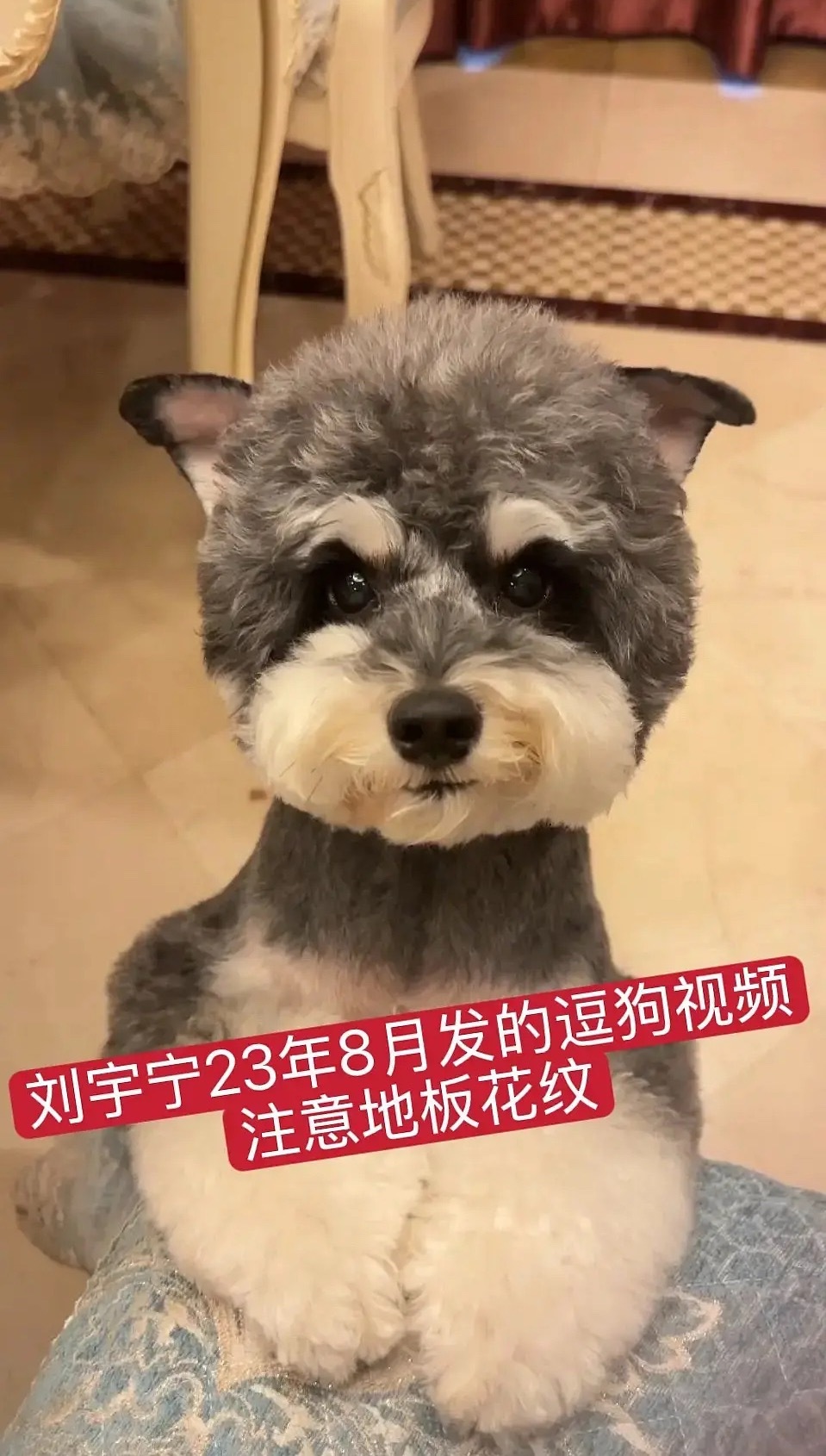 宋祖儿和刘宇宁被扒同款家具和地板，这是巧合之下住了同一套房子？还是同居？宋祖儿脸