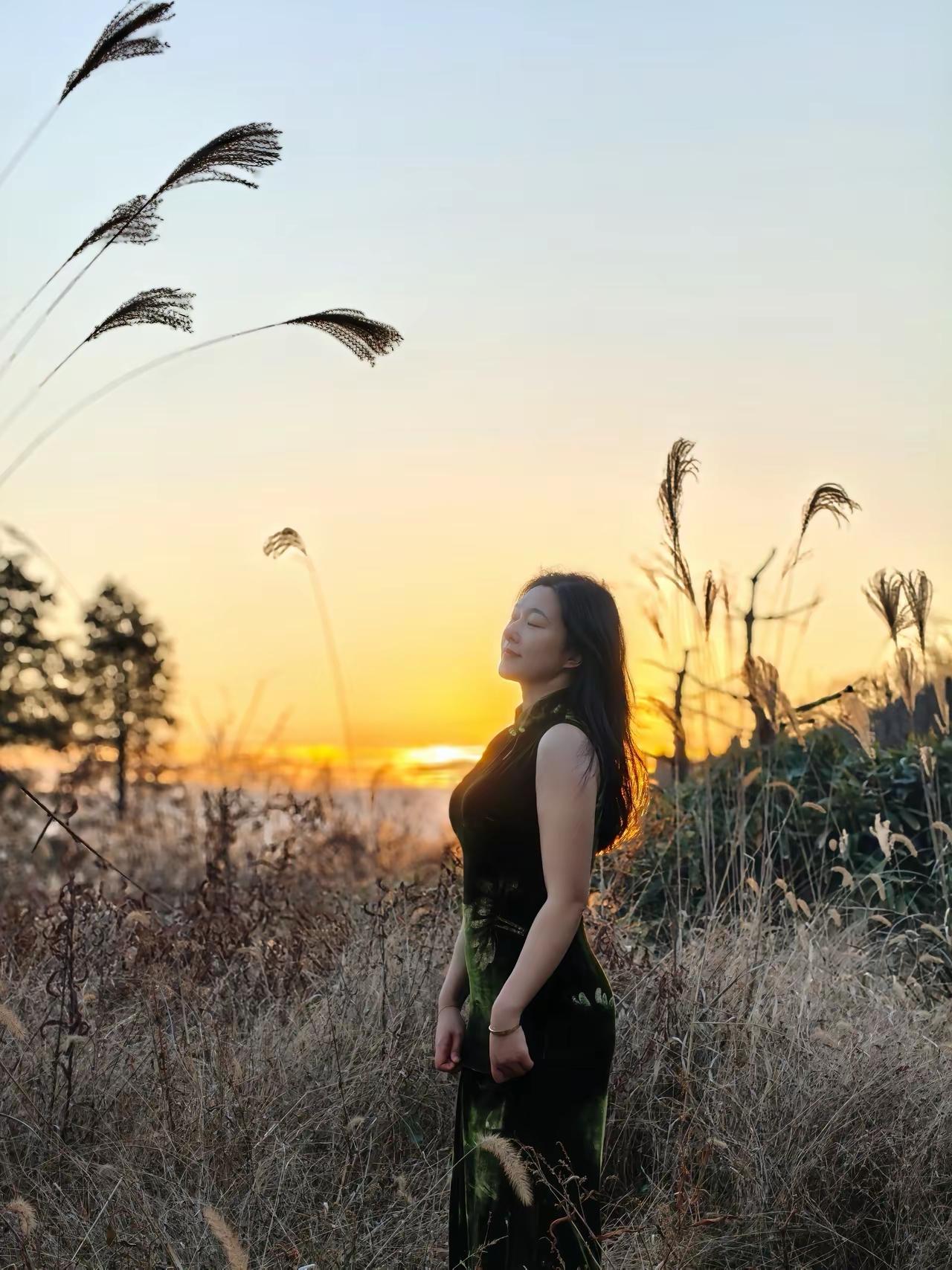 有一种美叫深秋芦苇一念北风起一念芦花飞一念故乡远一念相思长芦苇荡里