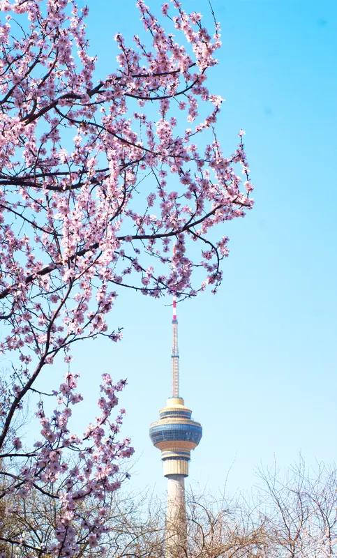 今天来谈一谈汽车市场。为什么大家都觉得近些年来钱不好赚了，但是国内的新能源车