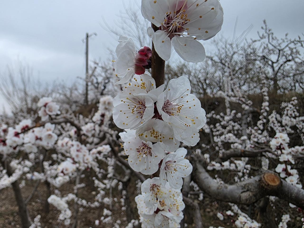 要是我中了五千万，我不会立刻离职。我会先捐500万做公益，剩下的4500万按比例