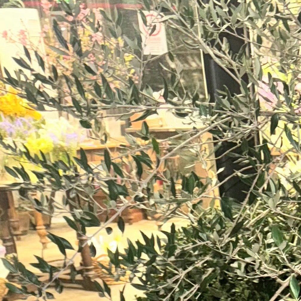 0900蓝莓的种植方法如下：一、选地与土壤：选择疏松、排水良好、pH值4.5-5