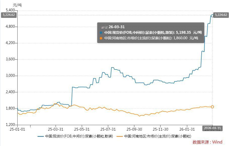 2026年4月，霍尔木兹海峡已持续封锁近40天，全球化肥价格全线暴涨。中东小颗粒