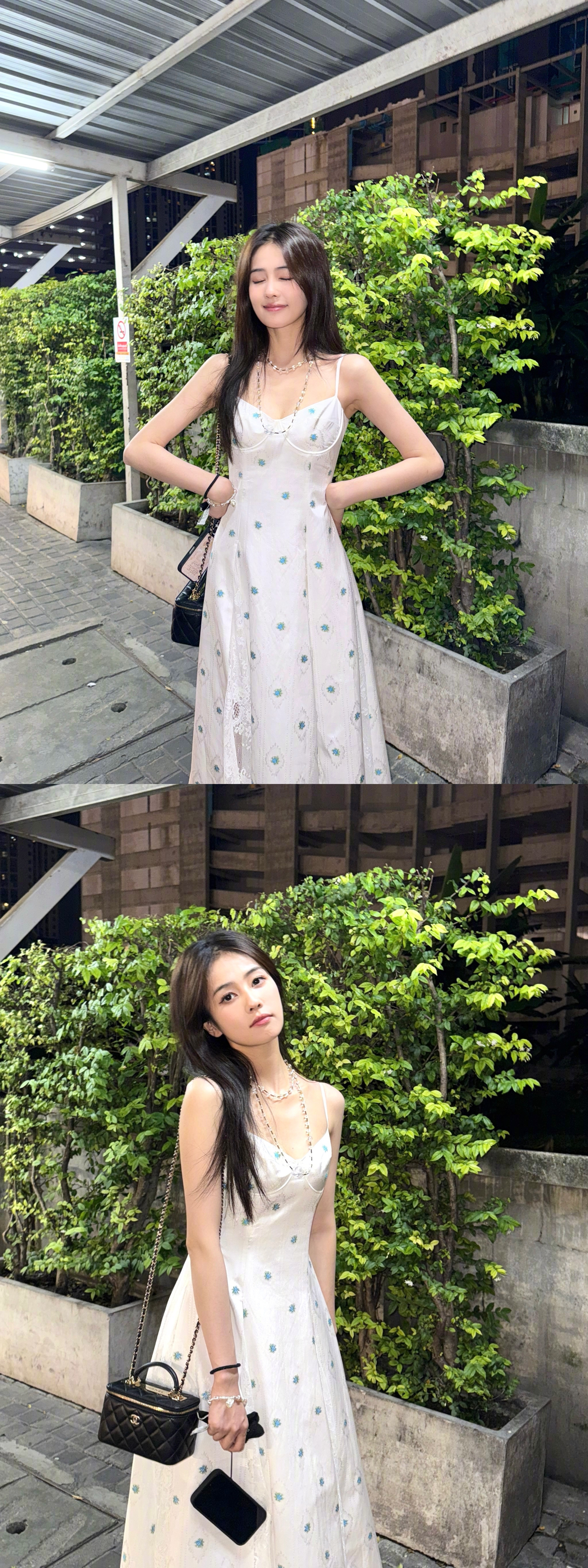白鹿这下是真的百鸟之王了白鹿​​​