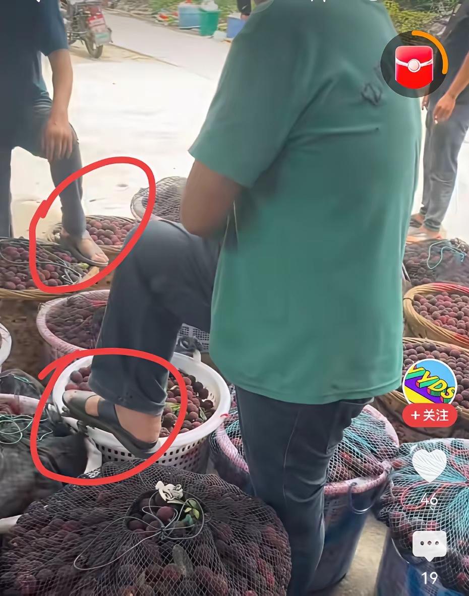 杨梅会长再次放低姿态请大家放一马，结果不争气的果农一个骚操作，又把所有努力毁了！